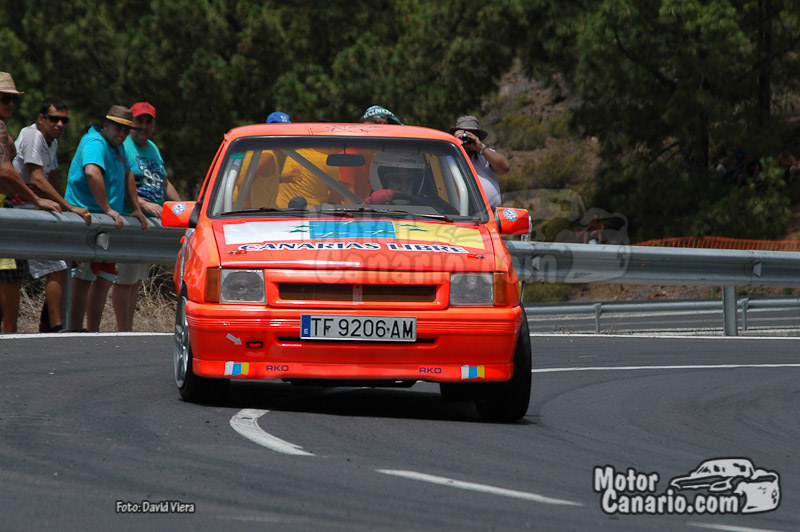 VIII Subida Arona - La Escalona 2010