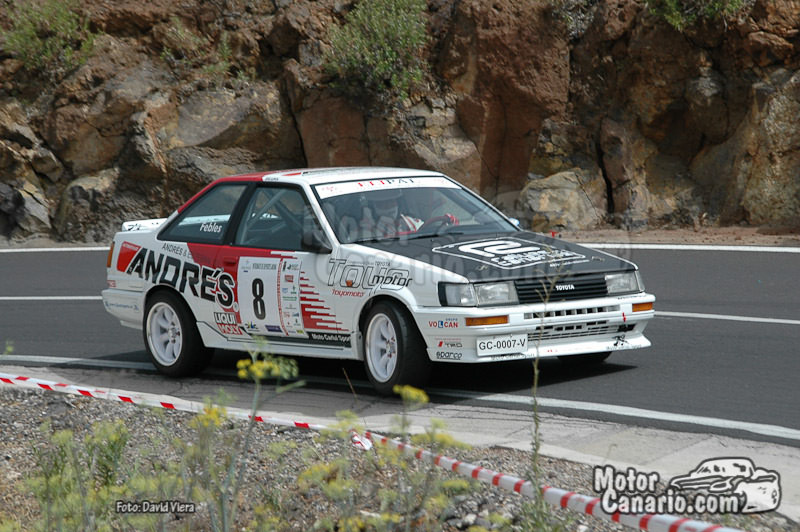 VIII Subida Arona - La Escalona 2010