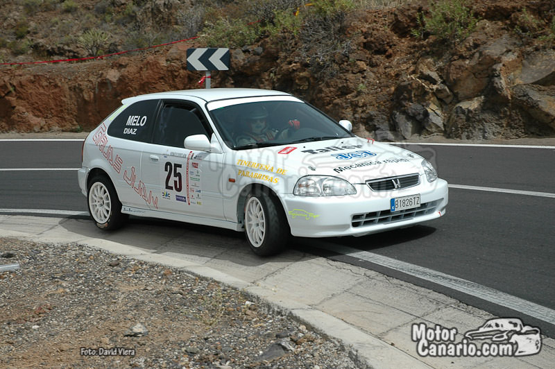 VIII Subida Arona - La Escalona 2010