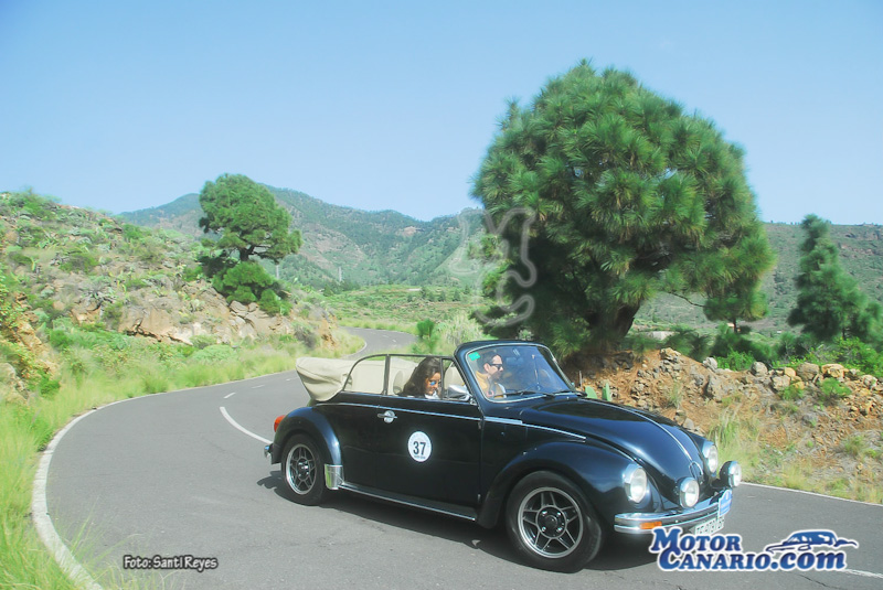 XV Cl�sica Tenerife 2015