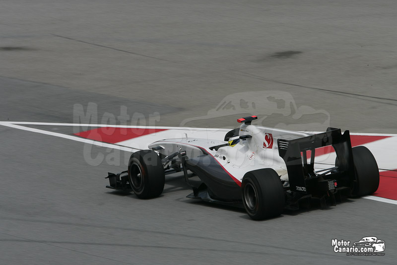 Gran Premio de F1 de Malasia 2010
