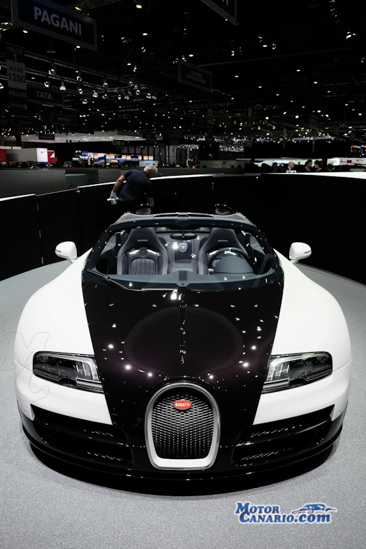 Sal�n Internacional de Ginebra 2014