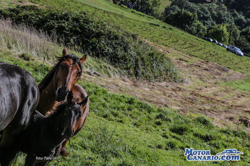Rallye Princesa de Asturias 2017