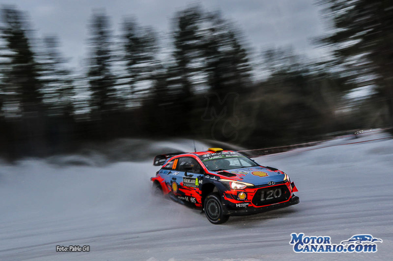 WRC Suecia 2019