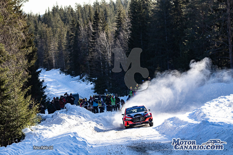 WRC Suecia 2023