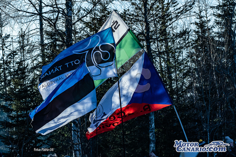 WRC Suecia 2023