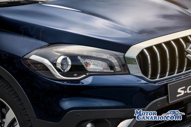 Sobresaliente comportamiento de Suzuki en 2017.