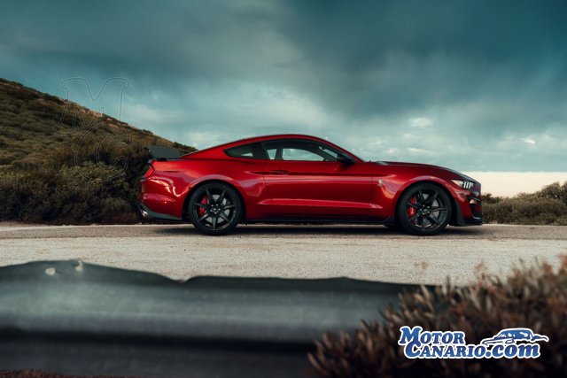 700 CV para el Ford más bestia de la historia.