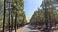 Rally Islas Canarias, primer tramo: Valsequillo-Telde.